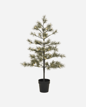 Weihnachtsbaum H 125 cm Natur im Topf