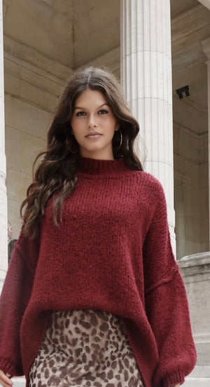 Pullover aus schlichtem Strick mit langen Ärmeln und hohem Kragen Bordeaux